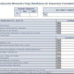 Formulario 29 En Excel actualizado Enero 2025