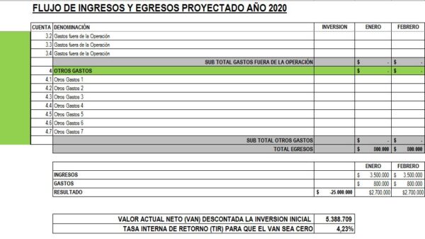 Flujo Caja Anual proyectado con calculo de VAN y TIR - Imagen 2