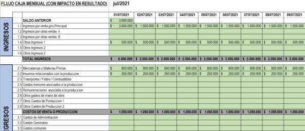 Control de Gastos, Ingresos y flujos para Pymes 2025 - Imagen 4