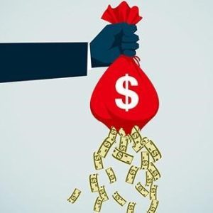 Balance Simple Organización sin fines de Lucro
