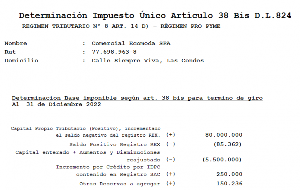Planilla Calculo Art 38 bis LIR Impuesto por termino de giro - Imagen 3