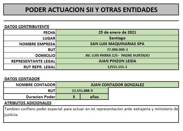 Poder Representación del Contador - Imagen 3