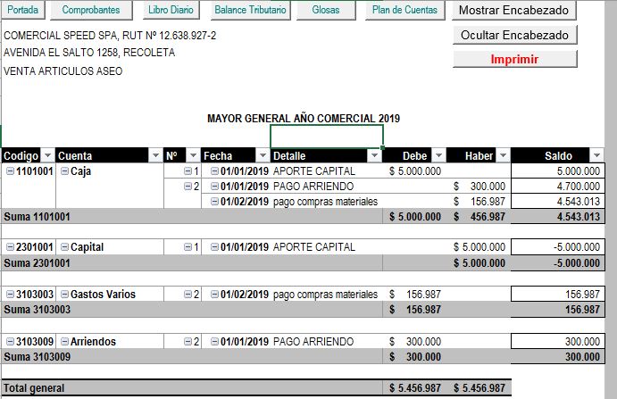 Planillas Balance y Contabilidad Simplificada - Imagen 6